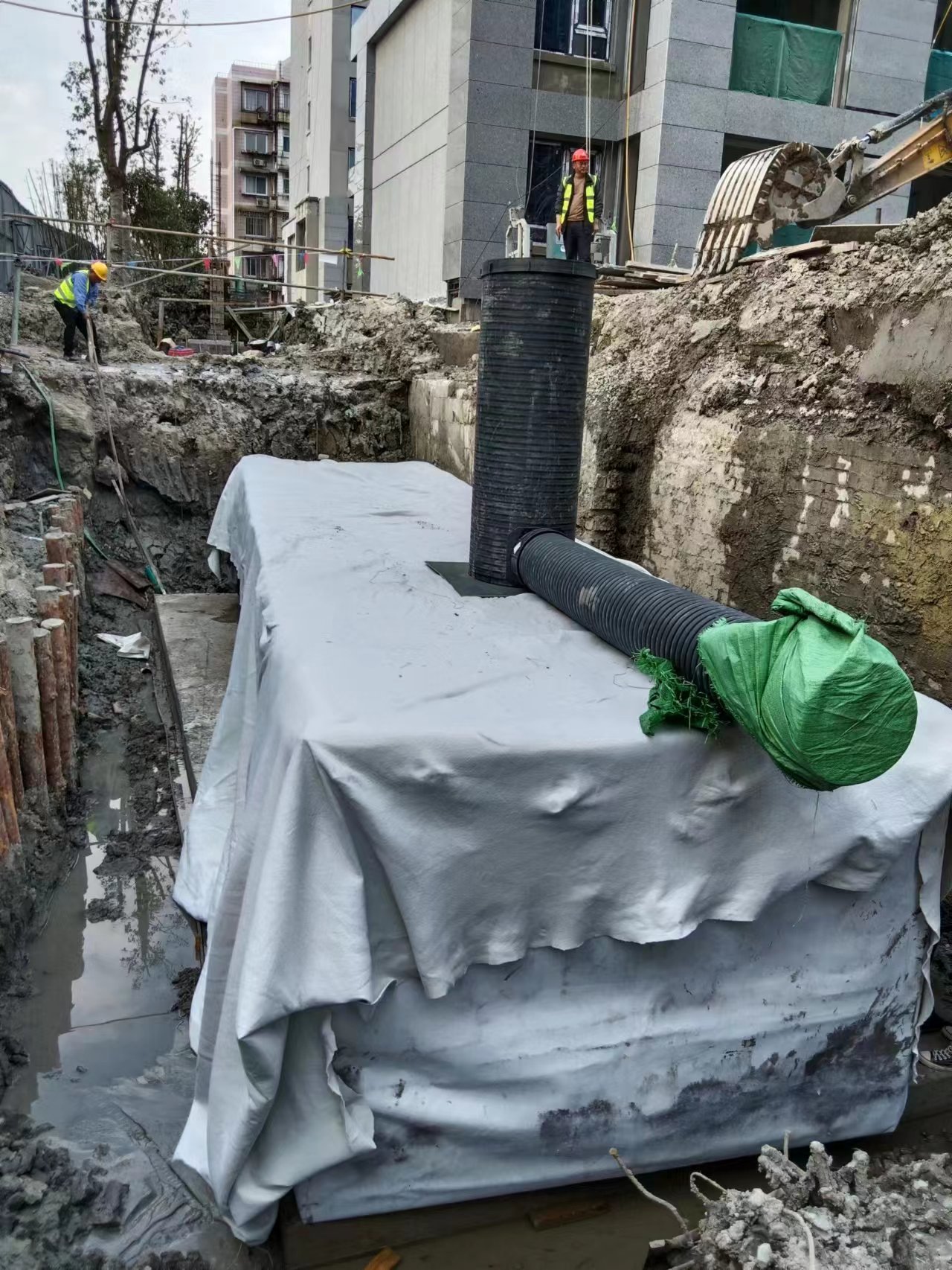 1678258555137470.jpg 3.jpg