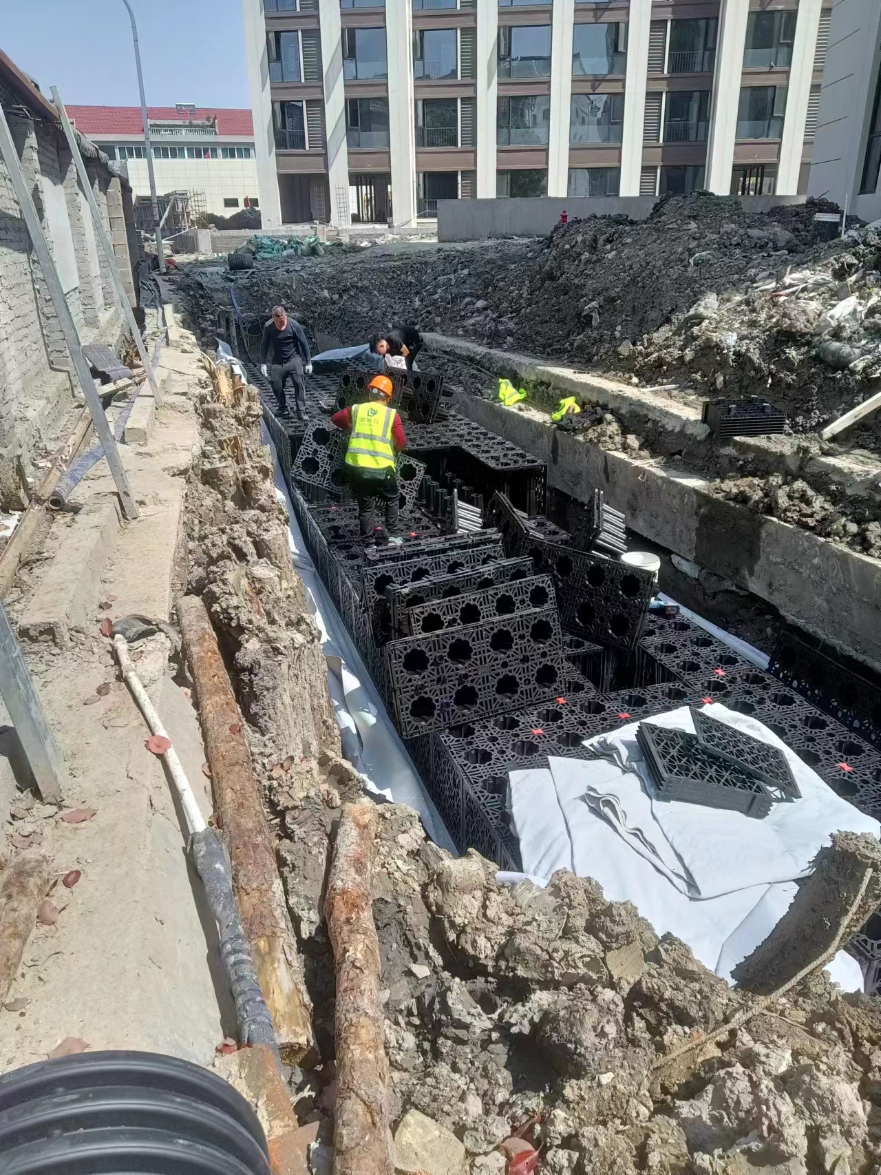 1680139403191485.jpg 2.jpg