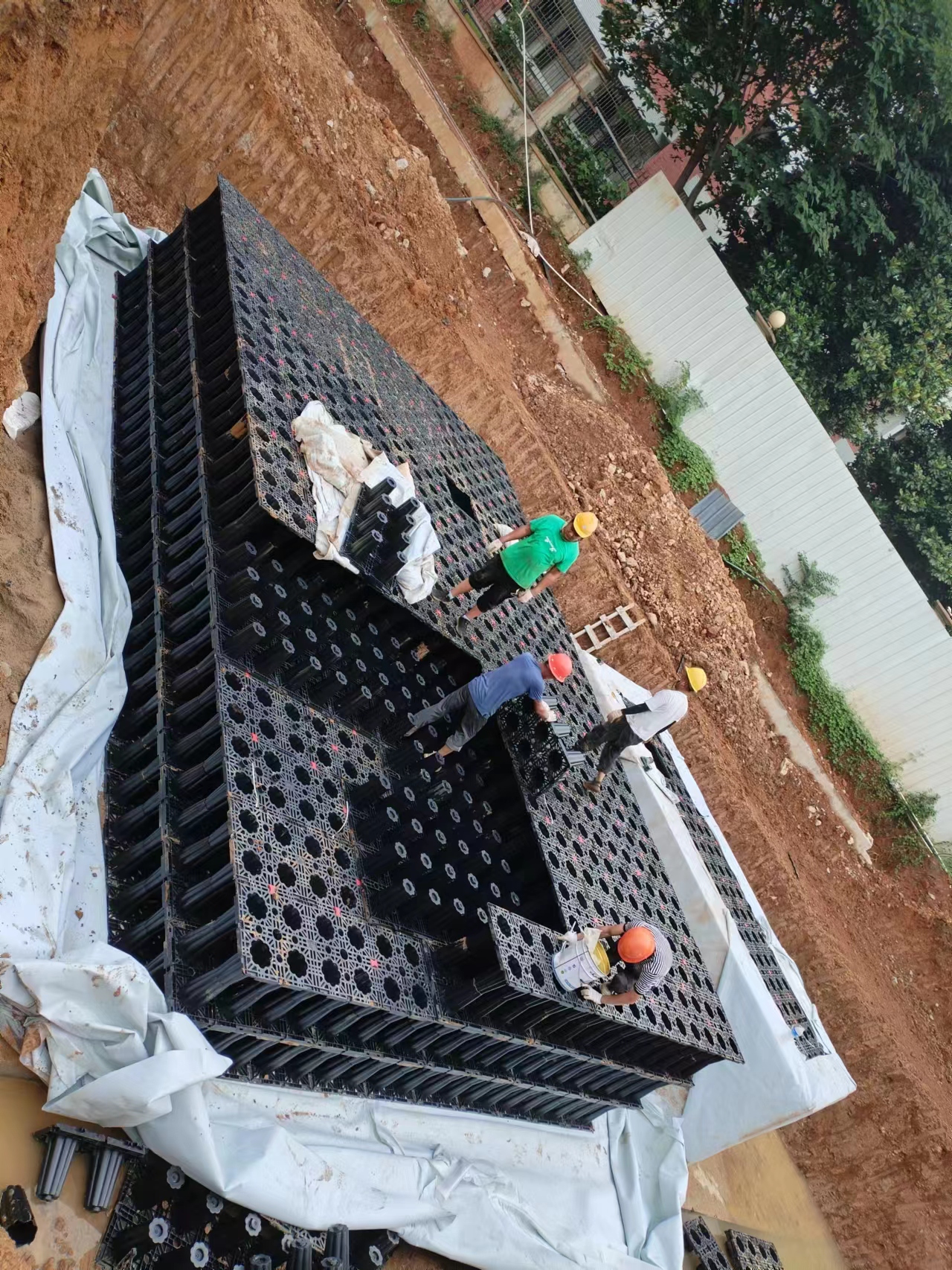 1687918601150997.jpg 4.jpg