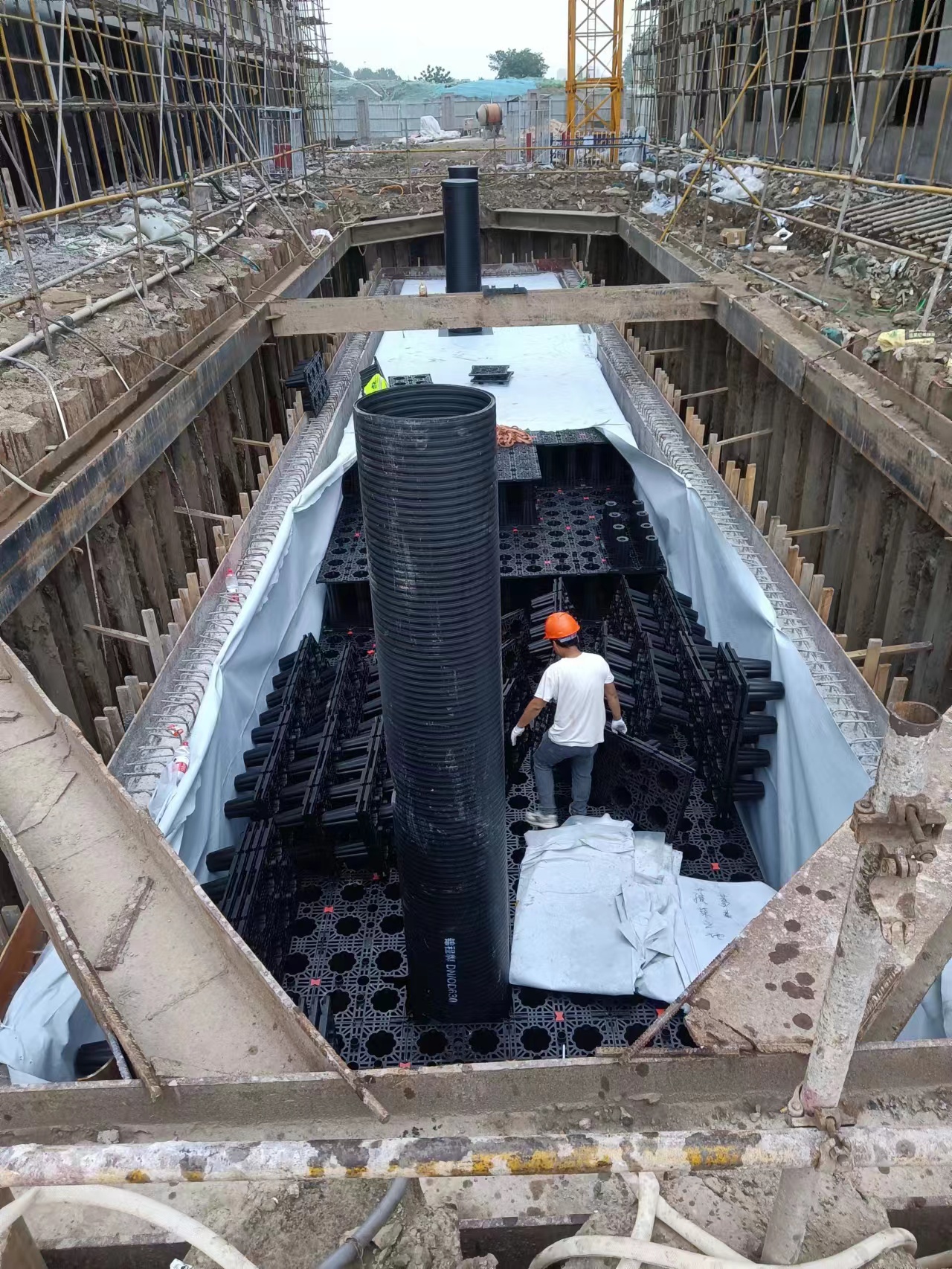 1689817766155543.jpg 4.jpg